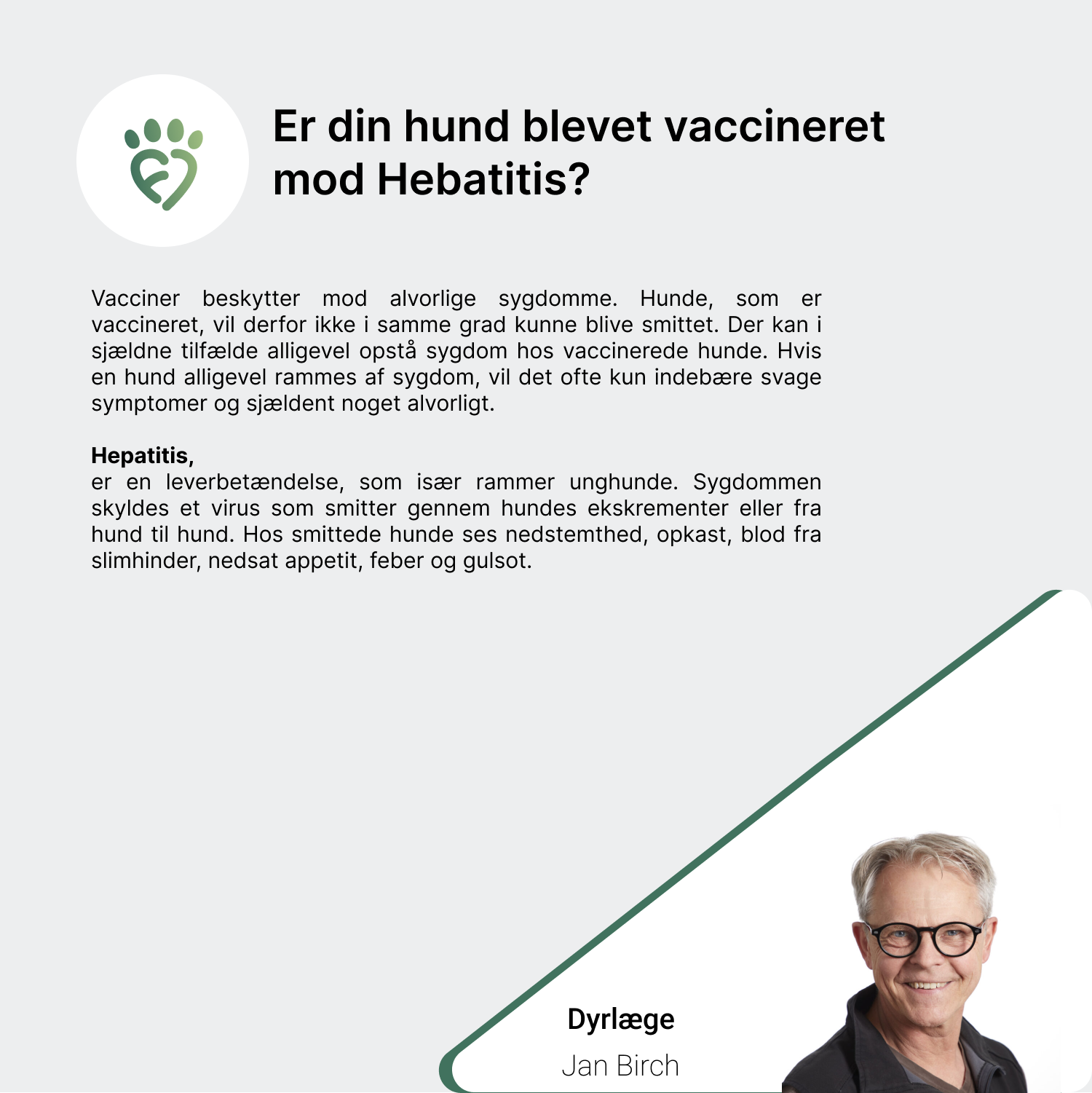 Er din hund blevet vaccineret mod Hebatitis_