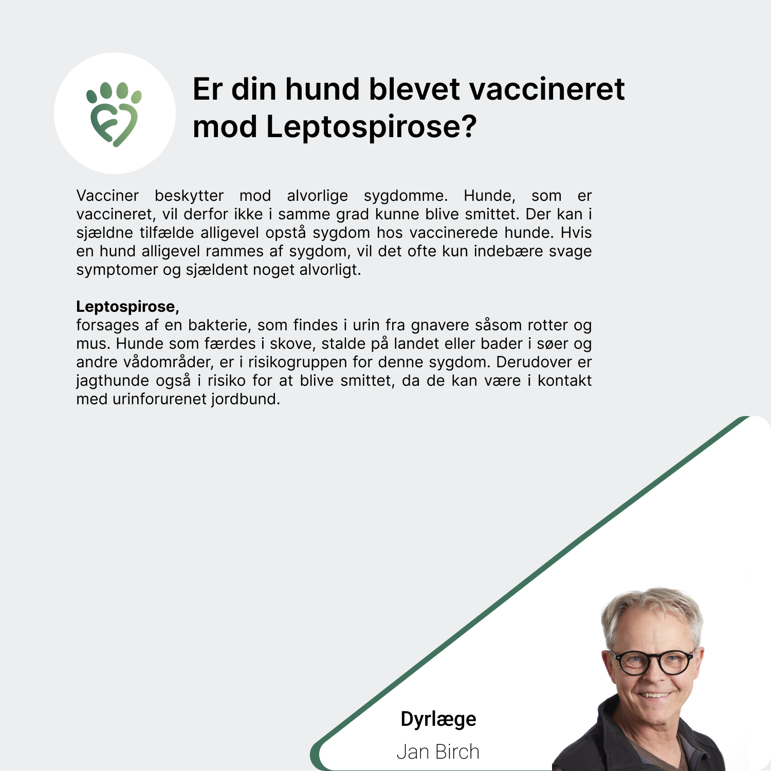 Er din hund blevet vaccineret mod Leptospirose_
