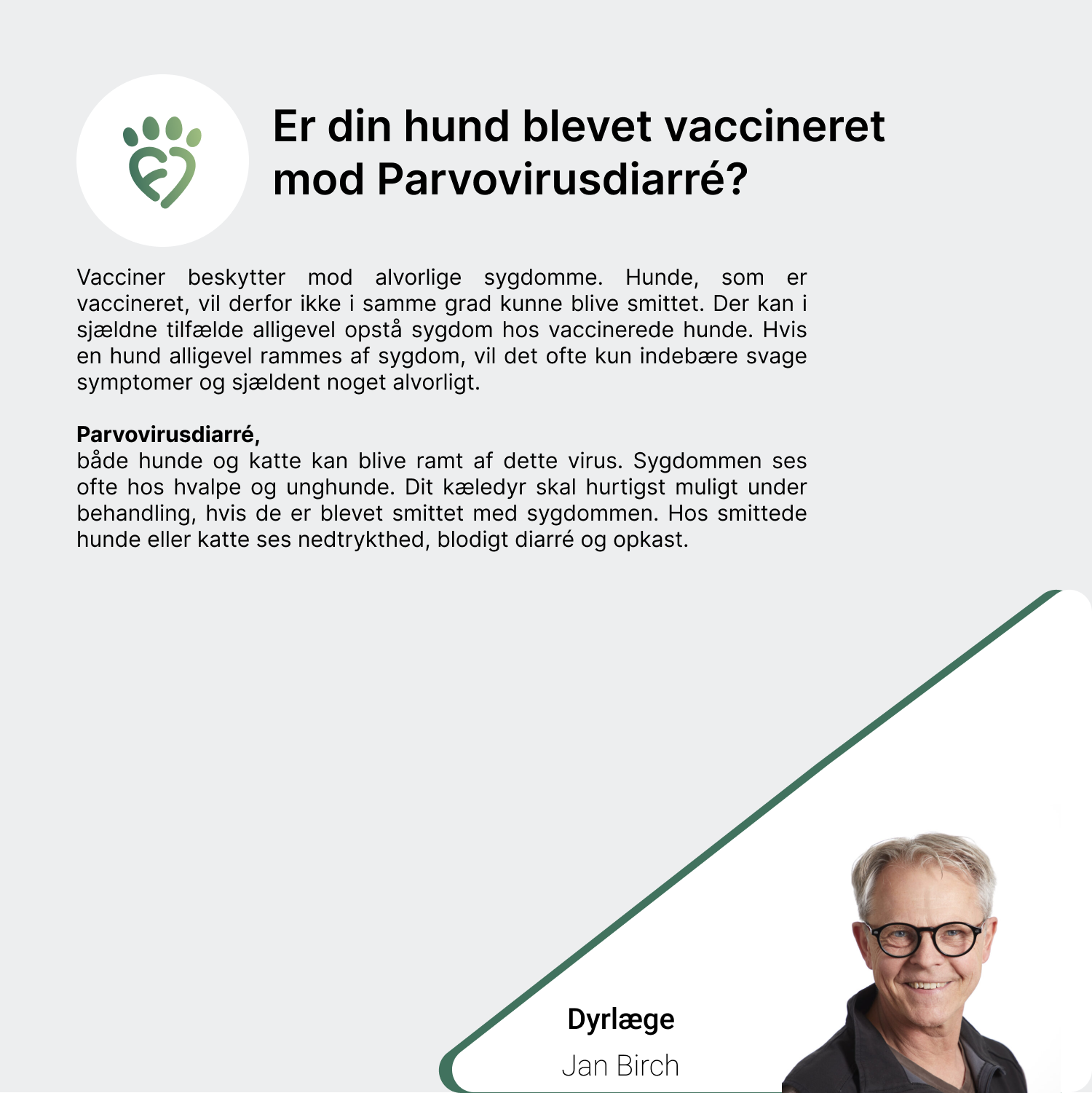 Er din hund blevet vaccineret mod Parvovirusdiarré_
